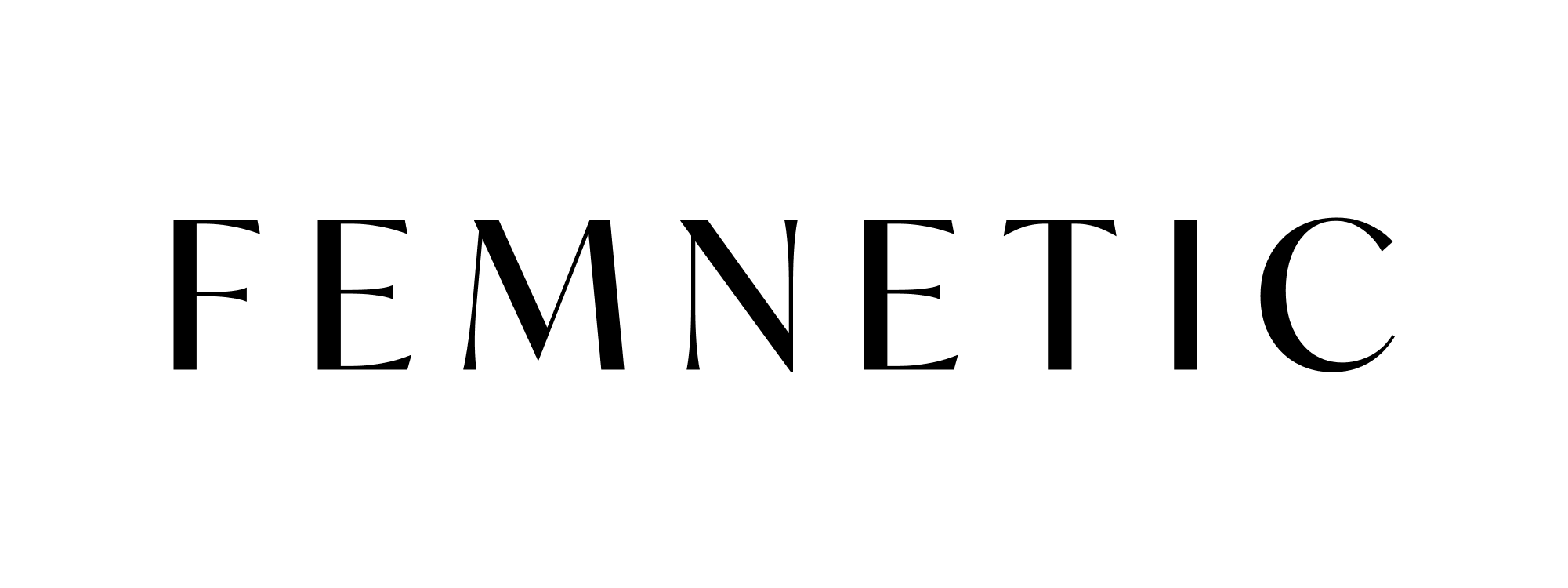 femnetic logo neu femnetic logo neu